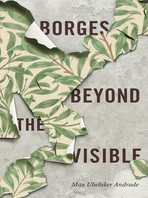 cover image of Borges Beyond the Visible